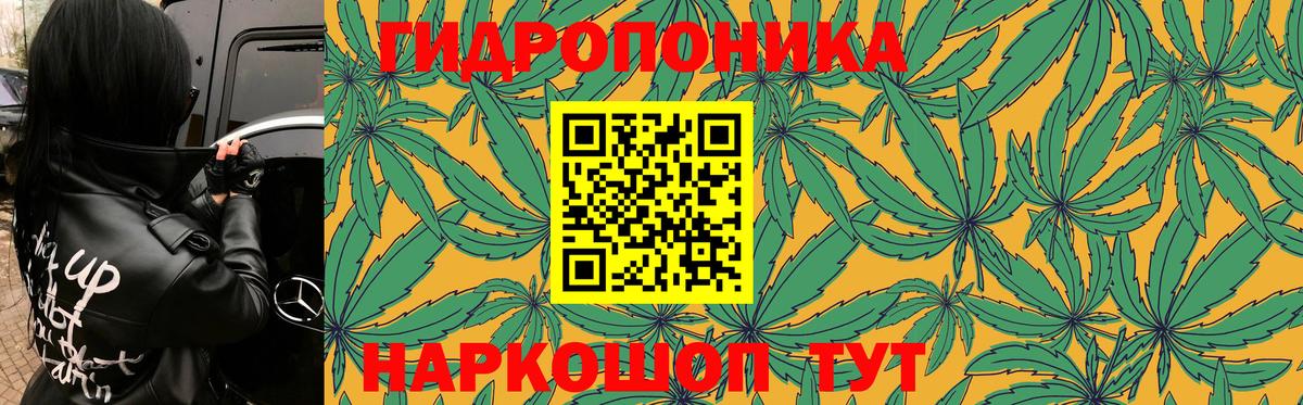 Канабис AK-47  Шишки марихуана индика  Вход с VPN  Бошки марихуана Bruce Banner  МАРИХУАНА THC 21%  Элиста 